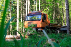 BGH Baugesellschaft m.b.H - Matthias Deisl - Erdbau/Kranarbeiten/Transporte - Strobl im Salzkammergut